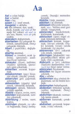 Gürcüce Standart Sözlük (Plastik Kapak)